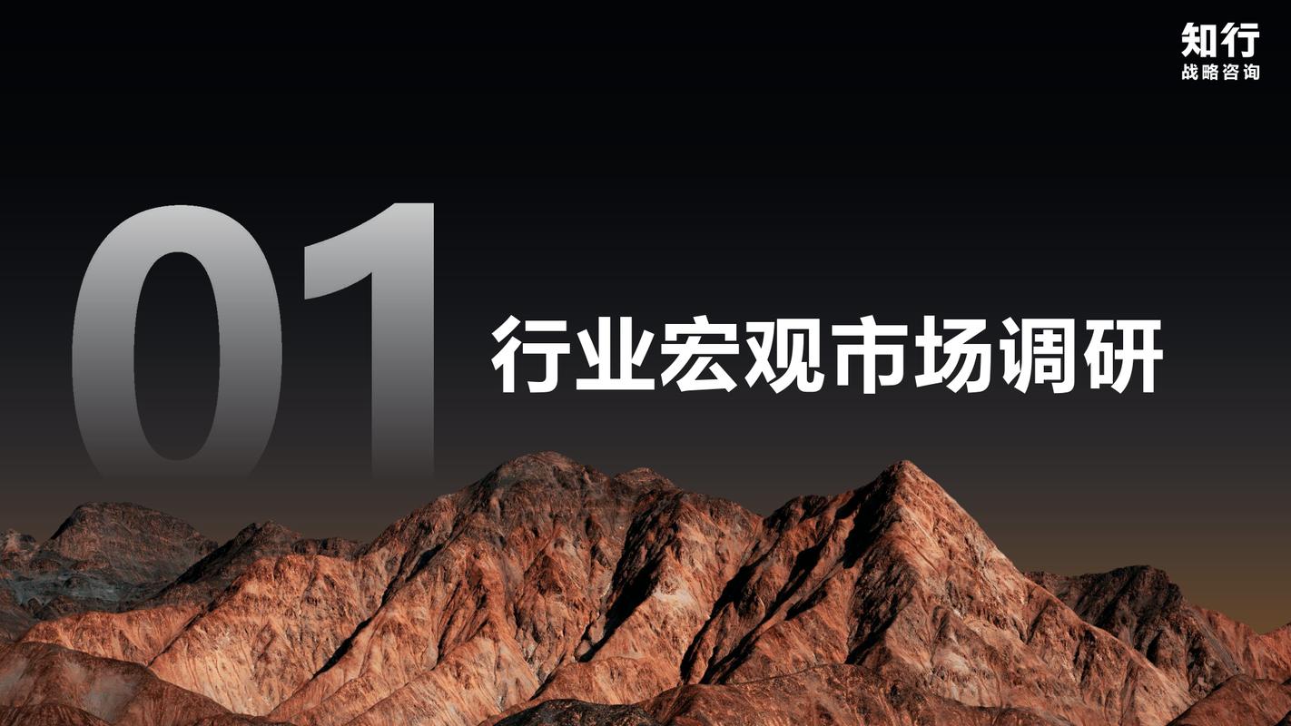 宁波知行合一 信息技术咨询服务的实践与创新